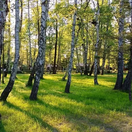 Rewita Mielno * Mielno (Koszalin)